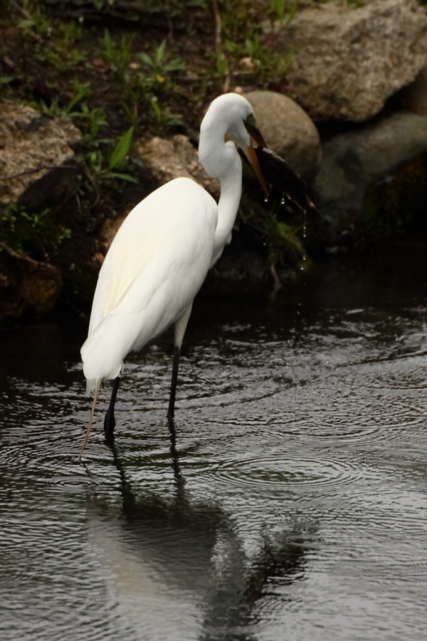 2013 05 11 IMG 06467